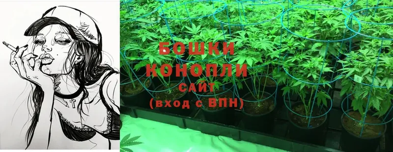 продажа наркотиков  Верхняя Тура  Бошки Шишки OG Kush 